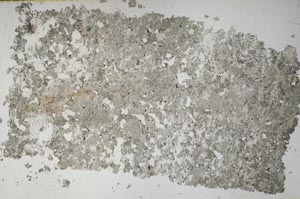 Plane Polarized, S51474