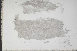 Plane Polarized, S51476