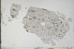 Plane Polarized, S51479