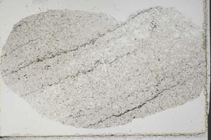 Plane Polarized, S51498