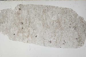 Plane Polarized, S51499