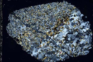 Cross Polarized, S51510