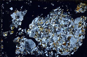 Cross Polarized, S51513