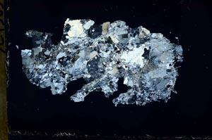 Cross Polarized, S51520