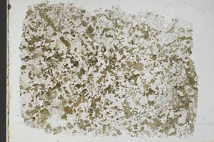Plane Polarized, S51522