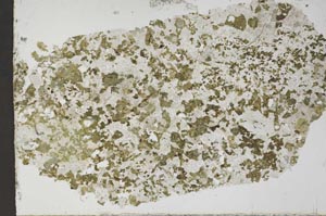 Plane Polarized, S51522/A
