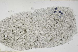 Plane Polarized, S51532
