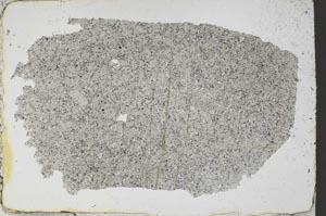 Plane Polarized, S51552