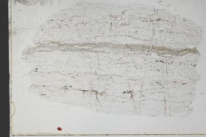 Plane Polarized, S51559