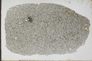 Plane Polarized, S51562