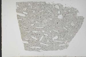 Plane Polarized, S51563
