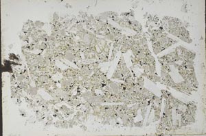 Plane Polarized, S51564