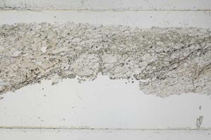 Plane Polarized, S51570