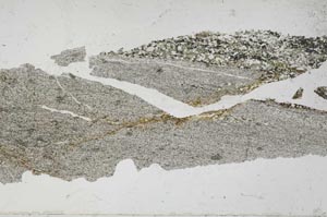 Plane Polarized, S51571