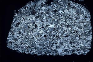 Cross Polarized, S51582