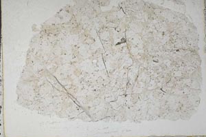 Plane Polarized, S51582