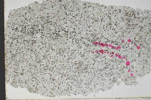 Plane Polarized, S51586