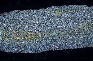 Cross Polarized, S51589