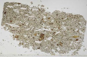 Plane Polarized, S51595