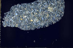 Cross Polarized, S51597