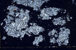 Cross Polarized, S51599/A