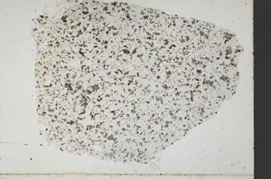 Plane Polarized, S51620