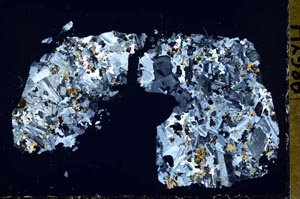Cross Polarized, S51662