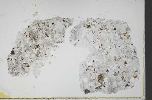 Plane Polarized, S51662