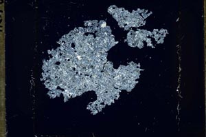 Cross Polarized, S51663