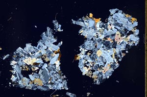 Cross Polarized, S51665