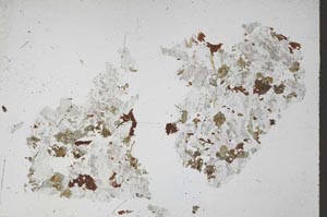 Plane Polarized, S51665