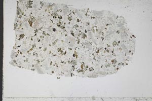 Plane Polarized, S51670