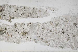 Plane Polarized, S51674