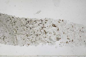 Plane Polarized, S51675