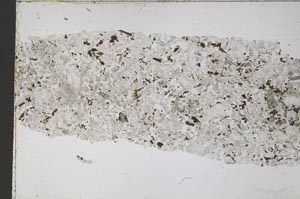 Plane Polarized, S51676