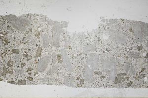 Plane Polarized, S51678