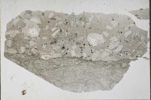 Plane Polarized, S51681