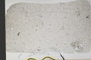 Plane Polarized, S51685