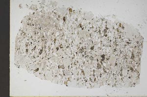 Plane Polarized, S51688