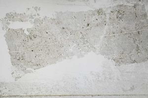 Plane Polarized, S51693