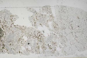 Plane Polarized, S51695