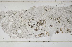 Plane Polarized, S51697
