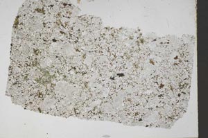 Plane Polarized, S51702
