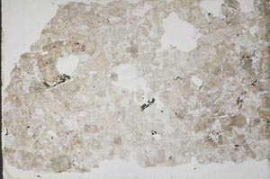 Plane Polarized, S51713