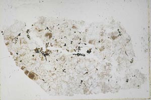 Plane Polarized, S51714