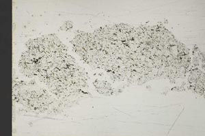 Plane Polarized, S51721