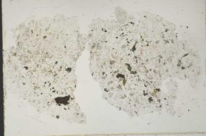 Plane Polarized, S51724