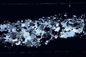 Cross Polarized, S51735