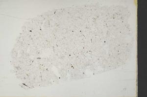 Plane Polarized, S51744