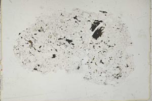 Plane Polarized, S51746
